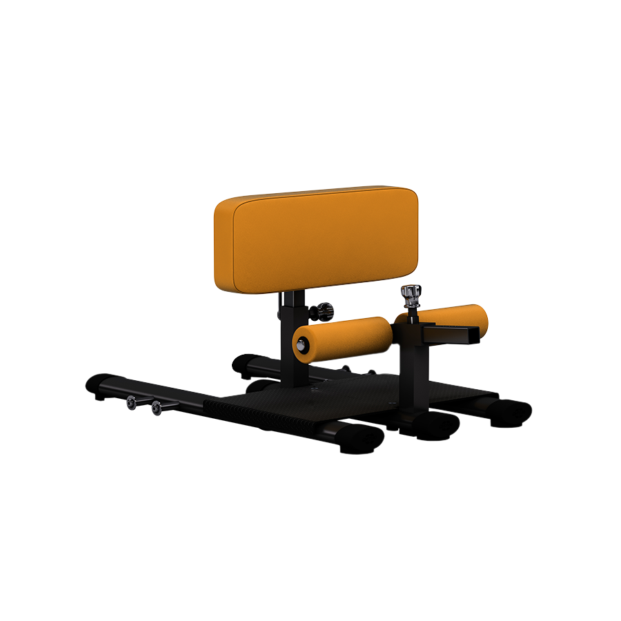 4347_Sissy-Squat_OverviewBig